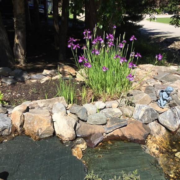 Meet your Posher, Sharon - Picture 1 of 1